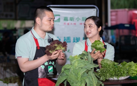 千金如玉，一口清心--生菜?油麥菜?萵筍直播專場(chǎng)